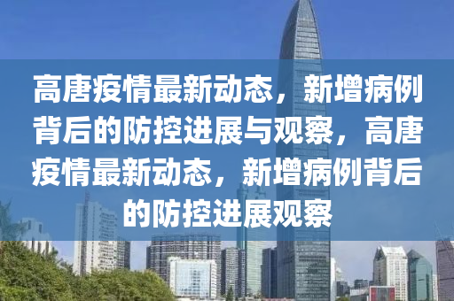 高唐疫情最新动态,新增病例背后的防控进展与观察,高唐疫情最新动态,新增病例背后的防控进展观察中山市多米克自动化设备有限公司