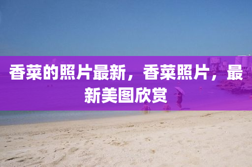 香菜的照片最新,香菜照片,最新美图欣赏