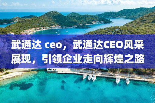 武通达 ceo,武通达CEO风采展现,引领企业走向辉煌之路