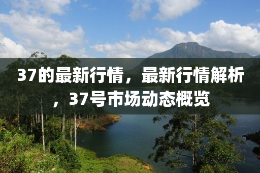 37的最新行情,最新行情解析,37号市场动态概览